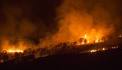El fuego en Lorca y Cieza calcina más de 600 hectáreas