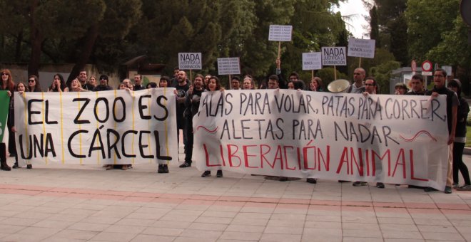 Los animalistas piden el cierre de los delfinarios frente al Zoo de Madrid