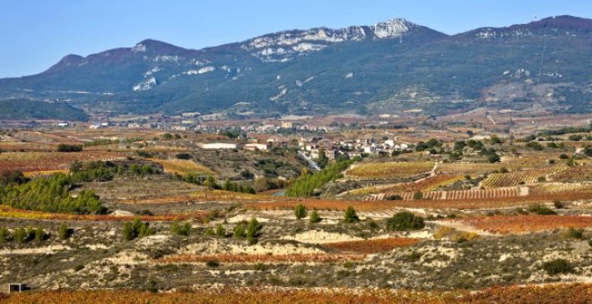 Los trazados del TAV que plantea Fomento acabarían con los viñedos de la Rioja Alavesa