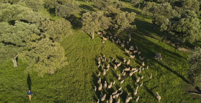 Un menú para salvar nuestra salud y la del planeta