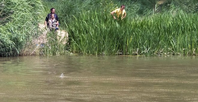 Suspenden la búsqueda del cocodrilo en el río Duero al no encontrar ningún rastro