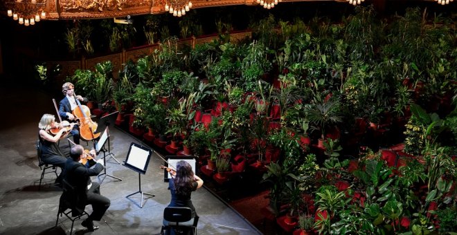Música y naturaleza: el Liceu de Barcelona reabre con un concierto para 2.292 plantas