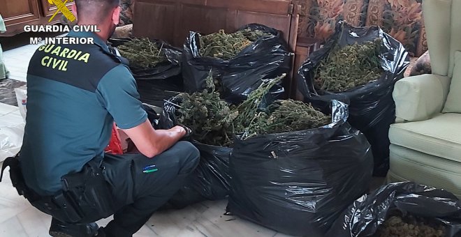 Guardia Civil desmantela invernadero indoor de marihuana en Totana