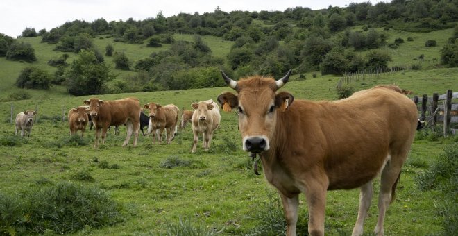 Tierras comunales para los pueblos, un pacto de hace cinco siglos en Cantabria