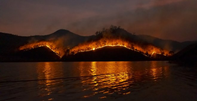 Galicia y los incendios forestales: El petróleo verde que arde