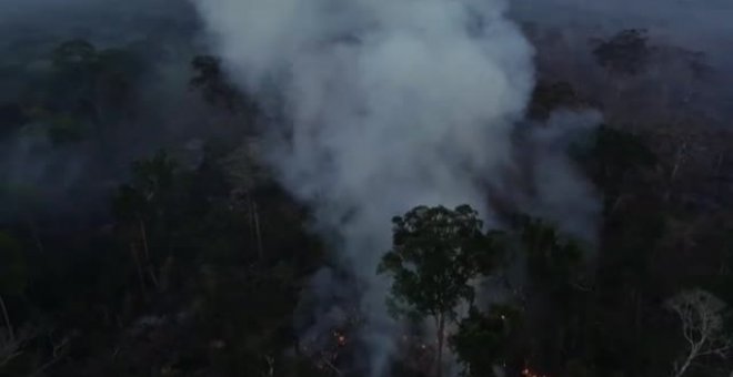 El Amazonas ha sufrido 6000 incendios en lo que llevamos de agosto