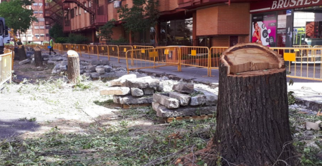 Vecinos del barrio de Retiro protestan por la tala de decenas de árboles del distrito madrileño "con nocturnidad y alevosía"