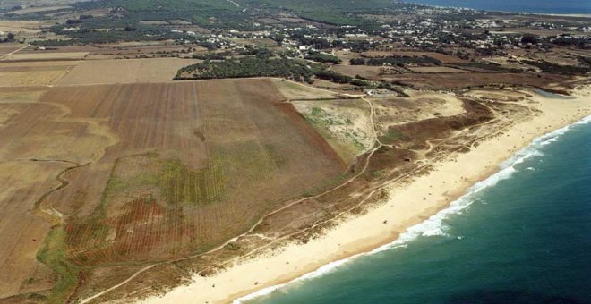 En peligro una de las últimas playas vírgenes de la provincia de Cádiz