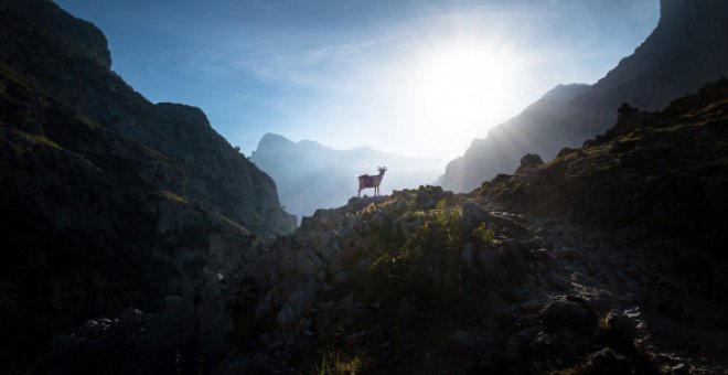 La presión humana mantiene cercadas todas las zonas naturales protegidas en Europa