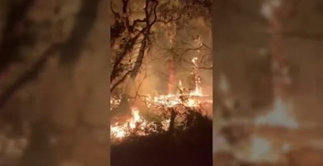 Una veintena de incendios activos en California arrasan casi un millón y medio de héctareas