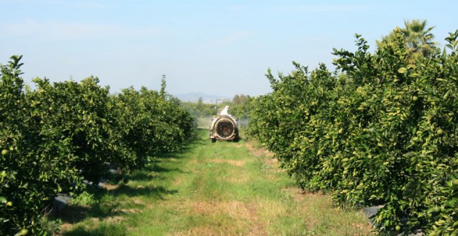 Se amplía el plazo de solicitud de ayudas para jóvenes agricultores y mejora de explotaciones