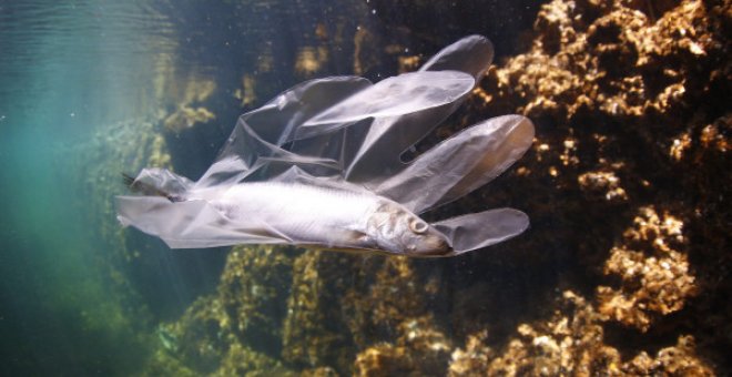 España es el país de la UE que más plásticos arroja al mar, con cerca de 126 toneladas diarias