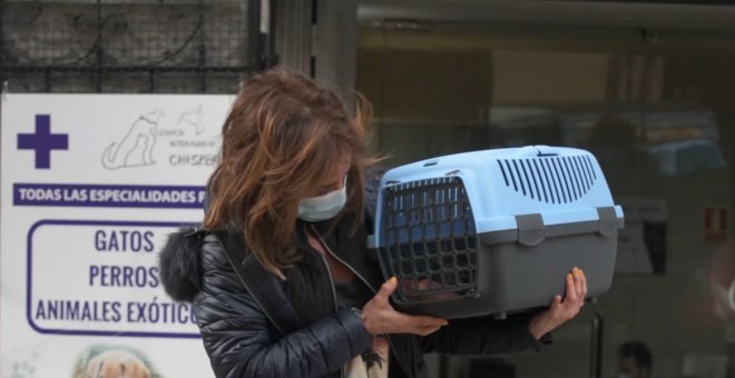 María Patiño, feliz tras la exitosa operación de su chinchilla