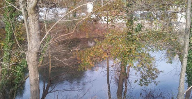 A información pública la recuperación medioambiental del Saja entre Cabezón de la Sal y Mazcuerras