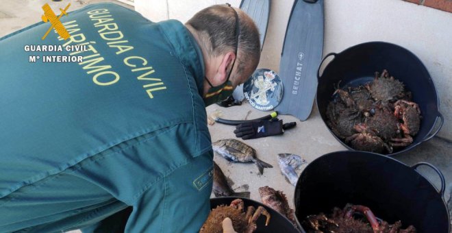 Investigados dos hombres por marisqueo ilegal en Santander y denunciados otros dos con más de 30 kilos de congrio