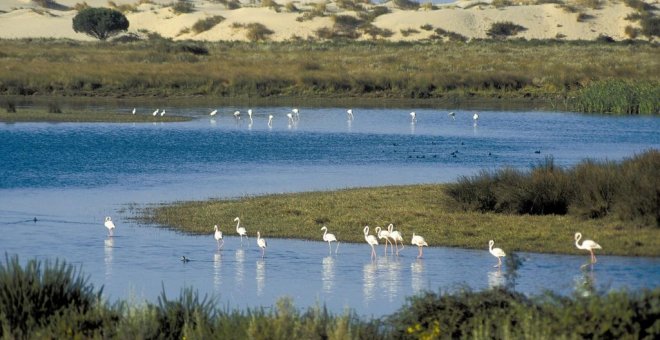 La Justicia europea recrimina a España la falta de protección de los humedales de Doñana