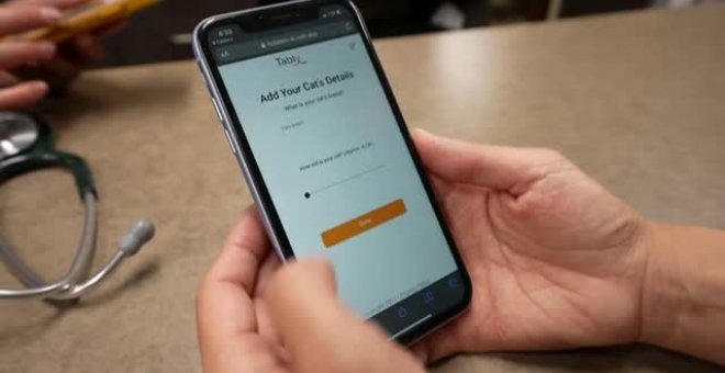 "Tably", la app móvil que descubre el estado de salud de tu gato