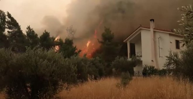 Incendios forestales alrededor del planeta