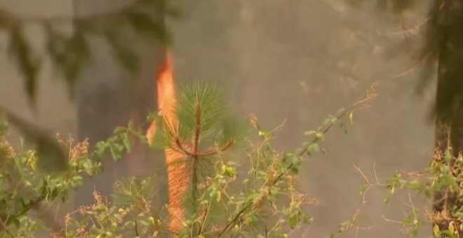 El incendio 'Caldor' calcina el norte de California