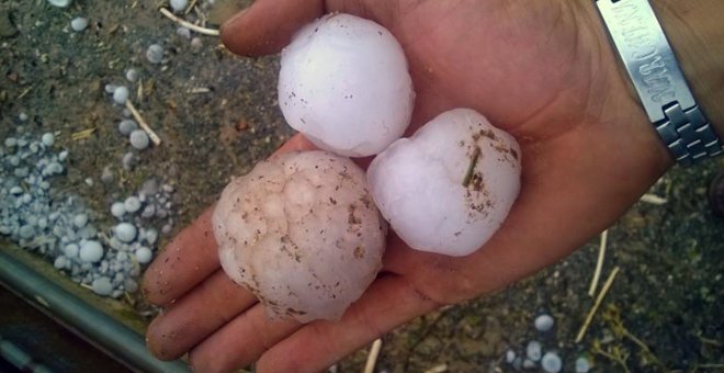 Las lluvias y el granizo dejan daños irreparables en gran parte de los cultivos de Castilla-La Mancha