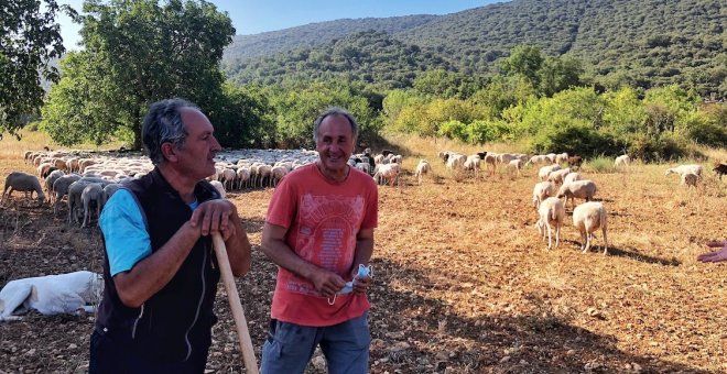 Leandro y sus hermanos, los lobos y 1.200 ovejas