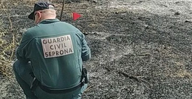 Identificado el presunto autor del incendio forestal registrado en julio en Pozorrubio de Santiago