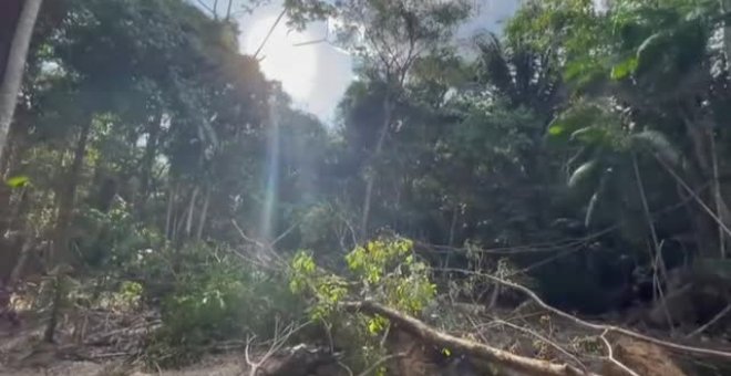 El auge de la minería de oro acaba con el Amazonas