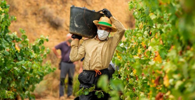 El paro baja 10.720 personas en septiembre por la vendimia y la "nueva normalidad" en la hostelería de Castilla-La Mancha