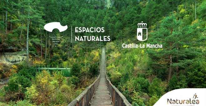 Descubre, recorre, disfruta: este otoño, 'naturalea' los espectaculares parques de Castilla-La Mancha