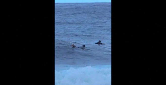 Así fue el encuentro de un surfista con un tiburón en la costa de Puerto Rico