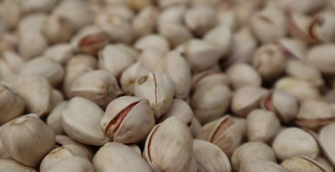 Más del 80 por ciento del pistacho que se produce en España se cultiva en Castilla-La Mancha