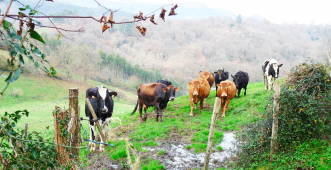 Rasines, un paseo por la historia de Cantabria