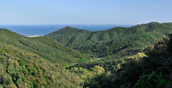 Aire Libre Marzo: arroces del Maresme, quesos canarios y orquídeas