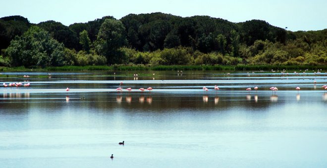 Guerra del agua entre Doñana y las explotaciones agrícolas y turísticas