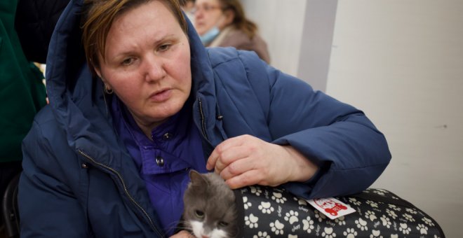 Las mascotas de los refugiados ucranianos ya reciben asistencia sanitaria