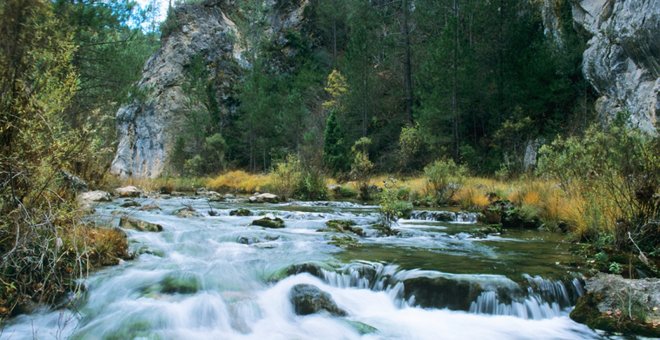 En busca de osos y paisajes inigualables descubriendo los rincones de la provincia de Cuenca