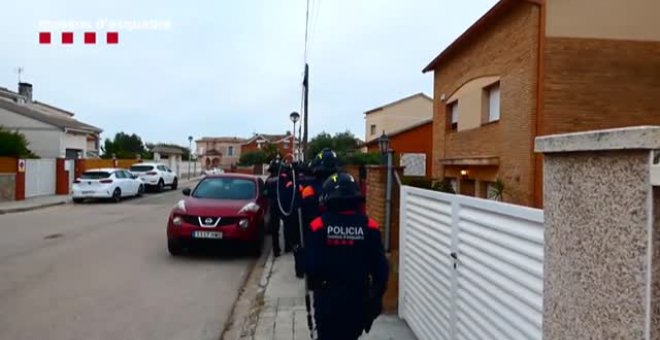 Los Mossos d'Esquadra detienen a cinco personas y desmantelan dos plantaciones de marihuana en el Baix Penedès