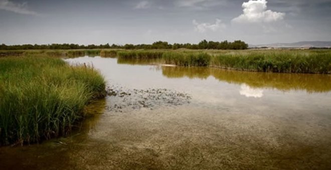 El nivel freático del acuífero de Las Tablas de Daimiel baja 2,2 metros en los últimos dos años