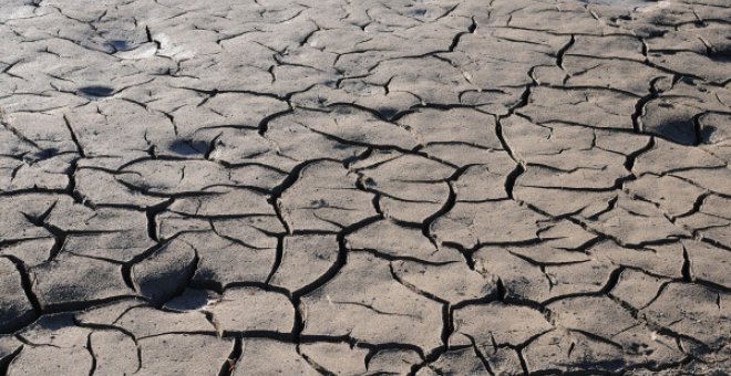 2021, un año marcado por las altas temperaturas, las bajas lluvias y los fenómenos meteorológicos extremos