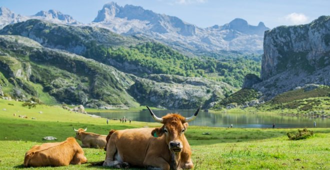 IU pide un plan para el Parque Nacional de Picos de Europa que no margine a sus habitantes