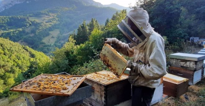 Una miel lebaniega, destacada con la categoría Oro en los London Honey Awards