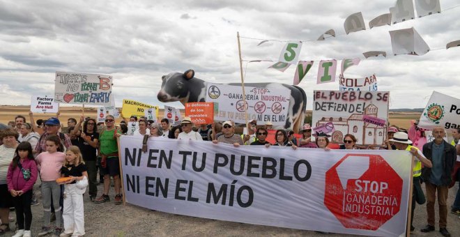 Greenpeace y otras organizaciones ecologistas se manifiestan contra la vaquería de Noviercas