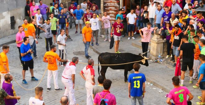 Sin sacrificio del animal y para mayores de 18 años, así proponen que sea la vaquilla enmaromada de San Mateo