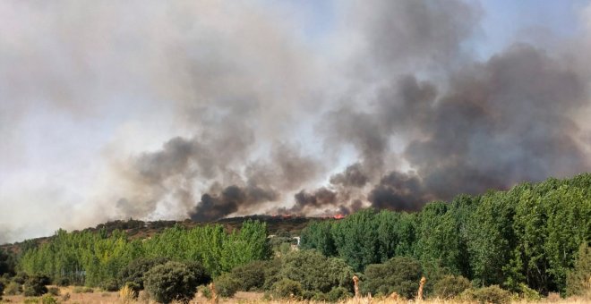 En llamas el parque natural de las Lagunas de Ruidera al declararse un incendio forestal