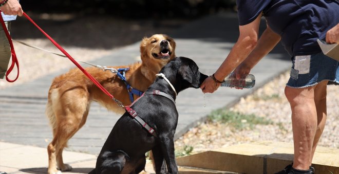 ¿Cuándo acabará la tercera ola de calor del verano?