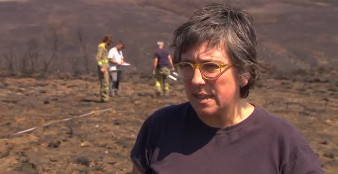 Después de un incendio las patrullas forestales vigilan que la ceniza no llegue a los ríos