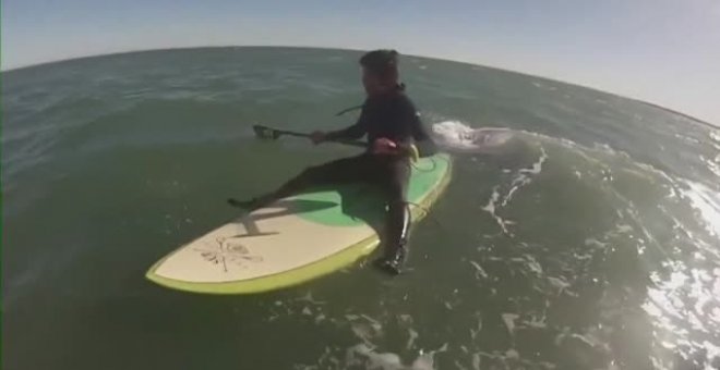 Emocionantes imágenes del encuentro de dos surfistas con ballenas en Argentina