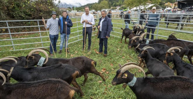 La I Feria Ganadera reúne a más de un millar de reses