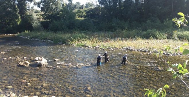 Trabajos de mantenimiento y mejora en el cauce del Besaya