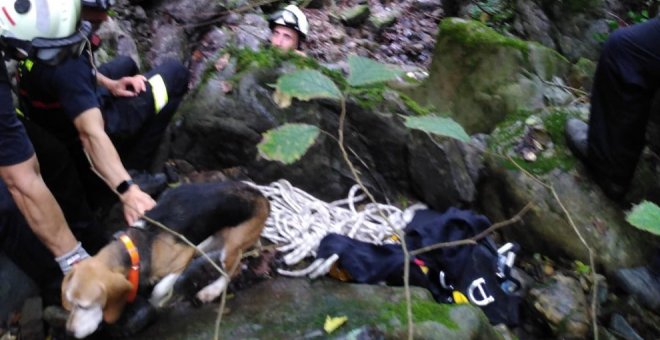 Rescatado un perro atrapado en el 'Regato Juanas', en Santiurde de Toranzo